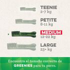 Greenies Snacks Dentários 100% Natural Grain Free para Cães Médios, , large image number null